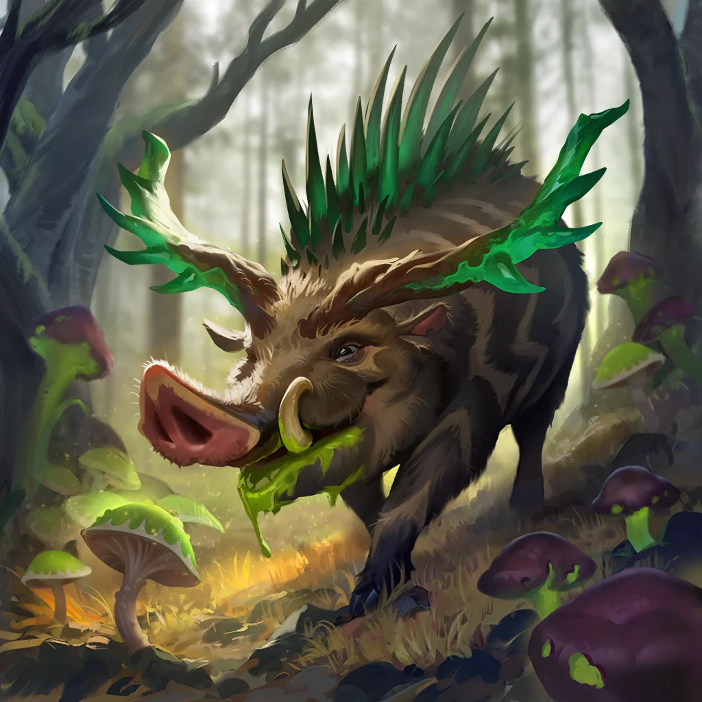 Wild Quillback